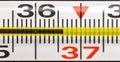 Macro shooting of the scale of a medical thermometer for measuring a person is temperature, the scale of a bite at 36.6