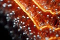 macro shot of advanced nuclear battery materials
