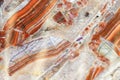 Macro shot of agate mineral texture. Natural stone pattern background Royalty Free Stock Photo