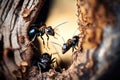 Macro shot of ants exploring tree trunk. Focus on foreground.