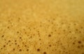 Macro shot of aromatic Espresso, just brewed coffee foam with selective focus