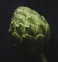 Macro shot of artichoke vegetable