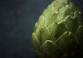 Macro shot of artichoke vegetable