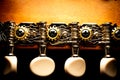 Close Up of Mandolin Tuning System with Ornate Metal and Wood Grain