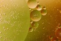 Macro shot of backlit water-oil emulsion over colored background. Royalty Free Stock Photo