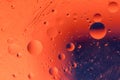 Macro shot of backlit water-oil emulsion over colored background Royalty Free Stock Photo