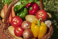 Macro shot of a basket of various vegetables in the sun