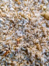 Macro shot beach sand