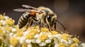 Macro shot of a bee on a flower. Shallow depth of field. Generative AI Royalty Free Stock Photo