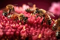 macro shot of bees collecting nectar from flowers