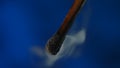 Macro shot of a black charred match and clouds of white smoke. Burned extinguished wooden match on dark studio