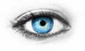 Macro shot of blue eye in blur Royalty Free Stock Photo