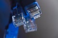 Macro shot of a blue RJ45 Ethernet cable. Internet cable, Patchcord, router cable, web access Royalty Free Stock Photo