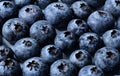 Macro shot of blueberries with water drops.