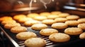 Macro shot of bread cookies baking in the oven. christmas cookie. Royalty Free Stock Photo