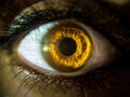 Macro shot of a brown eye of a person in sunlight Royalty Free Stock Photo