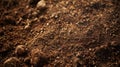 Macro shot of brown soil with visible grains and textures Royalty Free Stock Photo