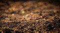 Macro shot of brown soil with visible grains and textures Royalty Free Stock Photo