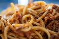 Macro shot of a bunch of spaghetti with minced meat sauce, Bolognese