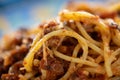 Macro shot of a bunch of spaghetti with minced meat sauce, Bolognese