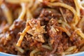 Macro shot of a bunch of spaghetti with minced meat sauce, Bolognese