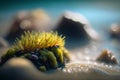 Macro shot of cactus on the sand with shallow depth of field