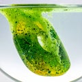 Vibrant Green Bath Fizzer Dissolving in Water Royalty Free Stock Photo