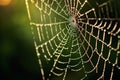 Morning Dew: Spider\'s Web in Ethereal Detail Royalty Free Stock Photo