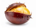 Macro Shot Of Chestnut On White Background Royalty Free Stock Photo