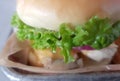 Macro shot of a Chicken Sandwhich Royalty Free Stock Photo