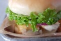 Macro shot of a Chicken Sandwhich