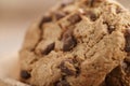 Macro shot of classic chocolate chip cookies in bowl