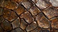 A macro shot of a coconut shell revealing its co and bumpy texture resembling a mosaic pattern Royalty Free Stock Photo
