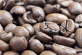Macro shot coffee beans background. Close up coffee beans. Freshly roasted dark brown arabica coffee beans texture background Royalty Free Stock Photo