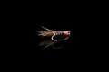 Macro shot colorful fishing fly isolated on a black background. Hand made fly fishing flies. Fluffy fly fishing hook isolated Royalty Free Stock Photo