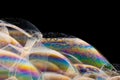 Macro shot of colorful soap bubbles on a dark background Royalty Free Stock Photo