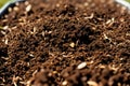 Macro shot of compostable waste in a compost bin, emphasizing organic waste recycling and soil enrichment. AI generated.