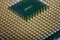 Macro shot of computer processor Royalty Free Stock Photo