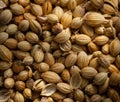 Macro shot on coriander seeds