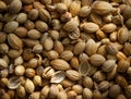 Macro shot on coriander seeds