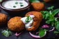 Macro shot of crispy falafel bites served with a tangy tzatziki sauce and topped with sliced red onions and fresh mint leaves