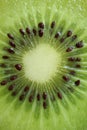Macro Shot of Cross Section of Bright Green Fresh and Juicy Ripe Kiwi Fruit, for Fruit Texture Royalty Free Stock Photo