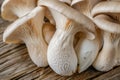 Macro shot of cultivated king oyster mushroom