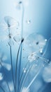 A macro shot of dandelion seeds with water droplets on them. Nature soft blue background. A tranquil and calming natural Royalty Free Stock Photo