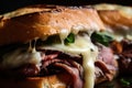Macro shot of a decadent roast beef and bacon sandwich with melted provolone cheese and garlic aioli