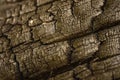 Macro shot of a degenerated tree with black carbon texture.