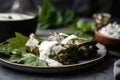 Macro Shot of Delicious Stuffed Grape Leaves with a Tangy Yogurt Sauce