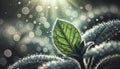 A macro shot of dewdrops on a green leaf in natural morning light. Royalty Free Stock Photo
