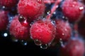 macro shot of dewdrops on ripe berry in the morning