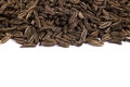 Macro shot of dried organic caraway seeds. Caraway seeds isolated on white background. Natural seasoning texture. Close up